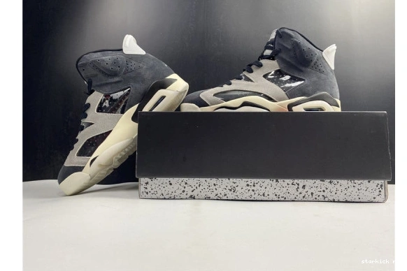 WMNS Chrome “Tech Air Jordan-6 6 Jordan 1205